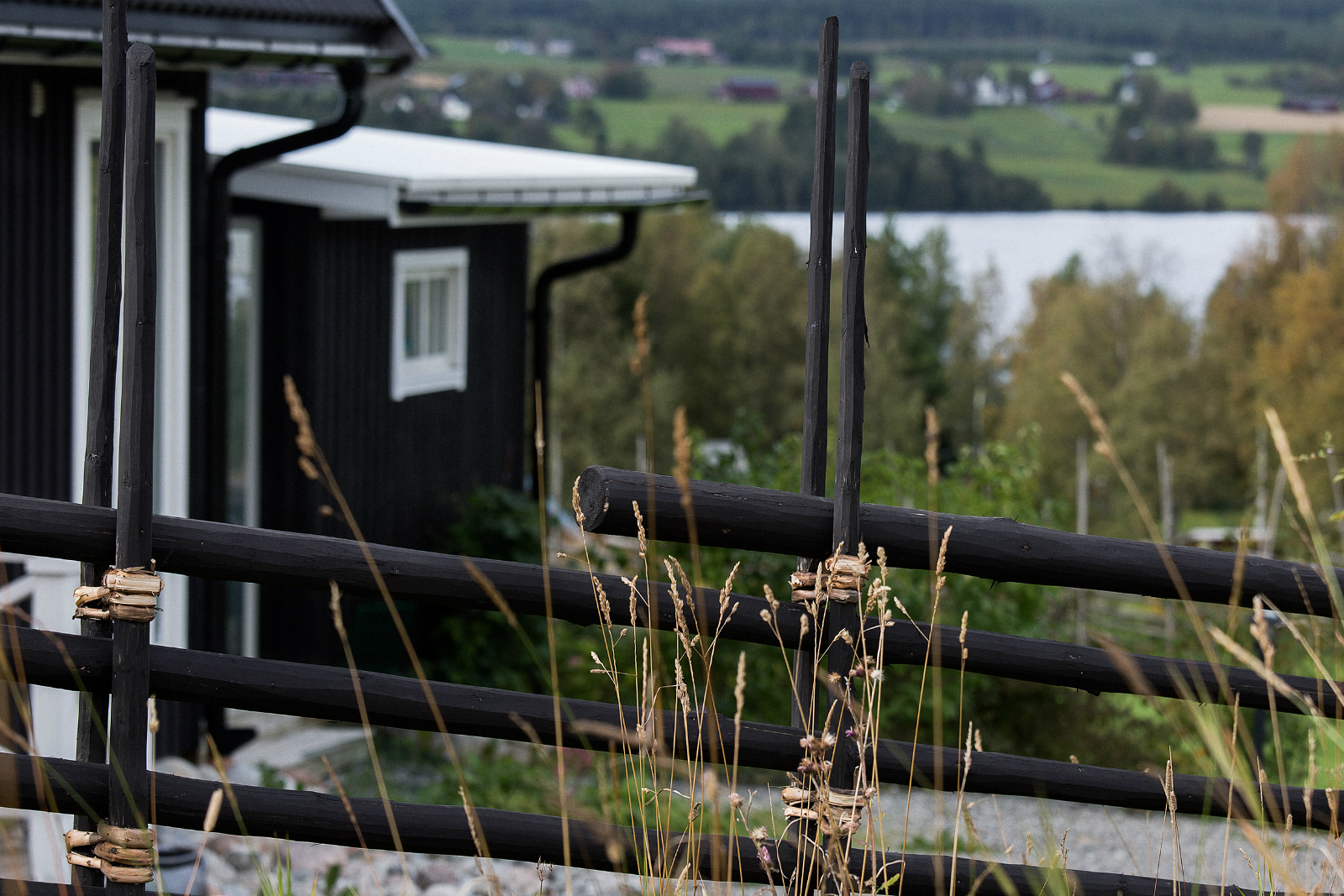 Gardesgard_svart_gras_ligg_1600x1067