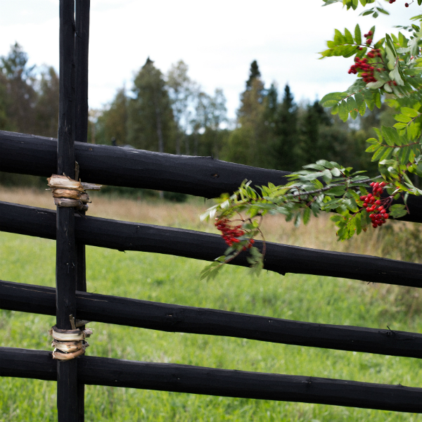 Svarttjärad gärdsgård, modell Jämtgård framtagen och tillverkad av Jämtgärsgård