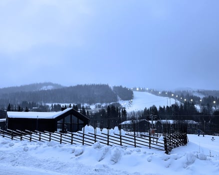 Duved Stark 2024 december 04 vy_ljusstyrka50