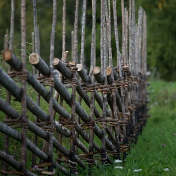 Från skog till gärdsgård i bilder