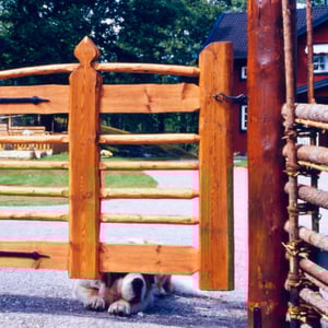 Gärdsgård och trägrind för gård med hund. 