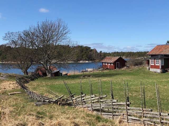 Snöskadad gärdsgård