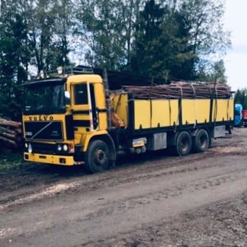 Gärdsgårdsvirke packat för transport på lastbil.