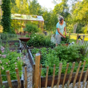 Örtagården hos Landskapsingenjör och Trädgårdsmästare Stina Hammar. 