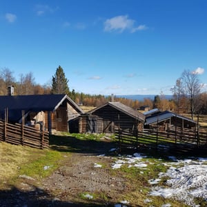 Gärdsgård med viktig funktion vid fäbodar i Härjedalen.