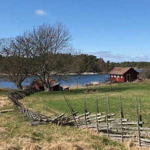Snöskadad gärdesgård