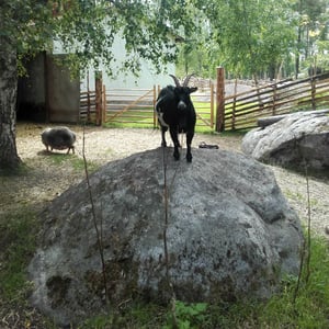 Maria_Andersson_031_600x600.jpg