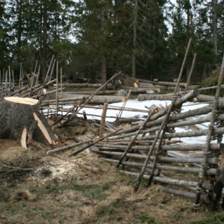 Stormskadad gärdsgård