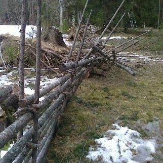 Ostnorsbuan_4_322x322.jpg