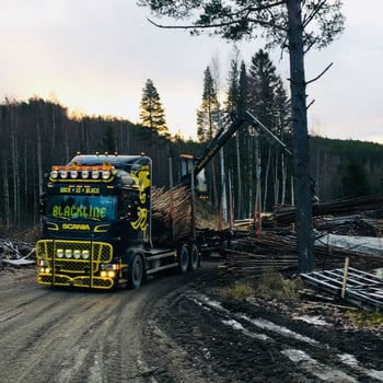 Leverans av gärdsgårdsvirke till Sandnäset.