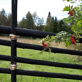 Gardsgard_svart_ronnbar_600x600.jpg