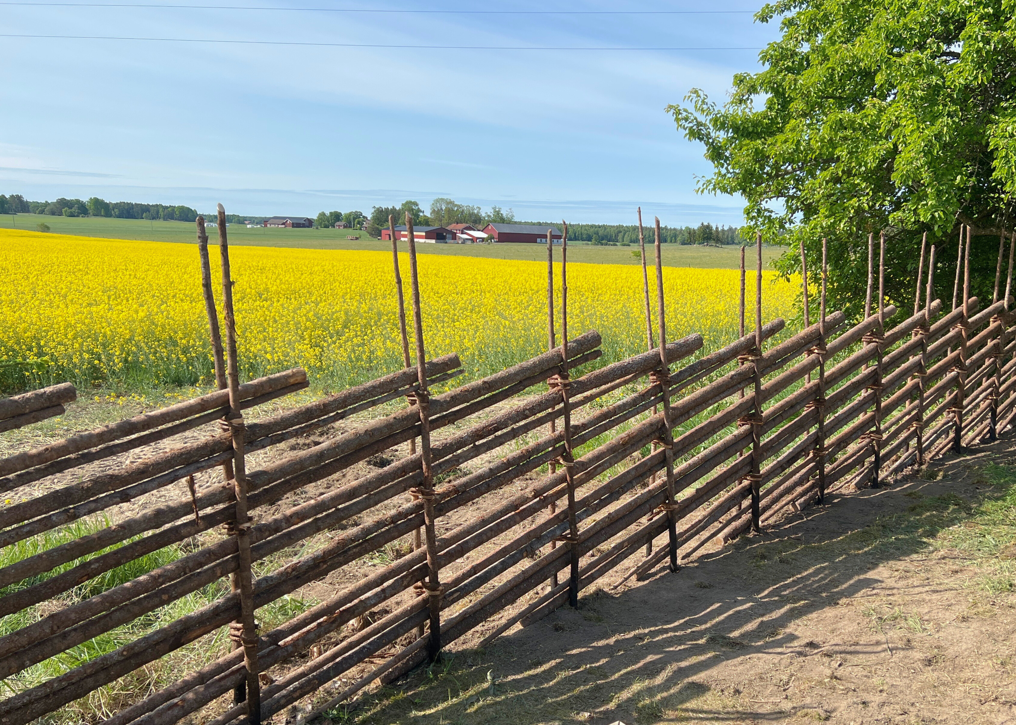 Vittinge gärdsgårdsmodell Leksand