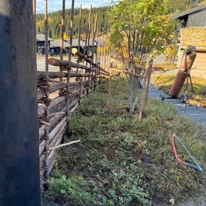Skogsmatta och Gärdsgård från Åre Naturtomter och Trädgård samt Jämtgärsgård