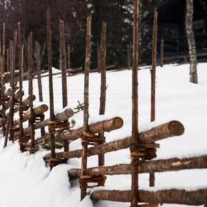 Bjornrike_2_pulsa_1600x1600