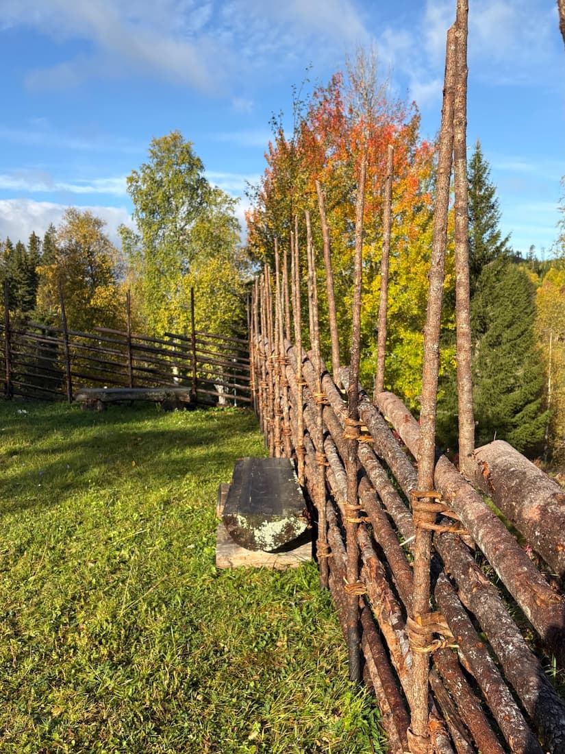 Römmen_Mörsil-IMG_2789_1080x1440_213kb
