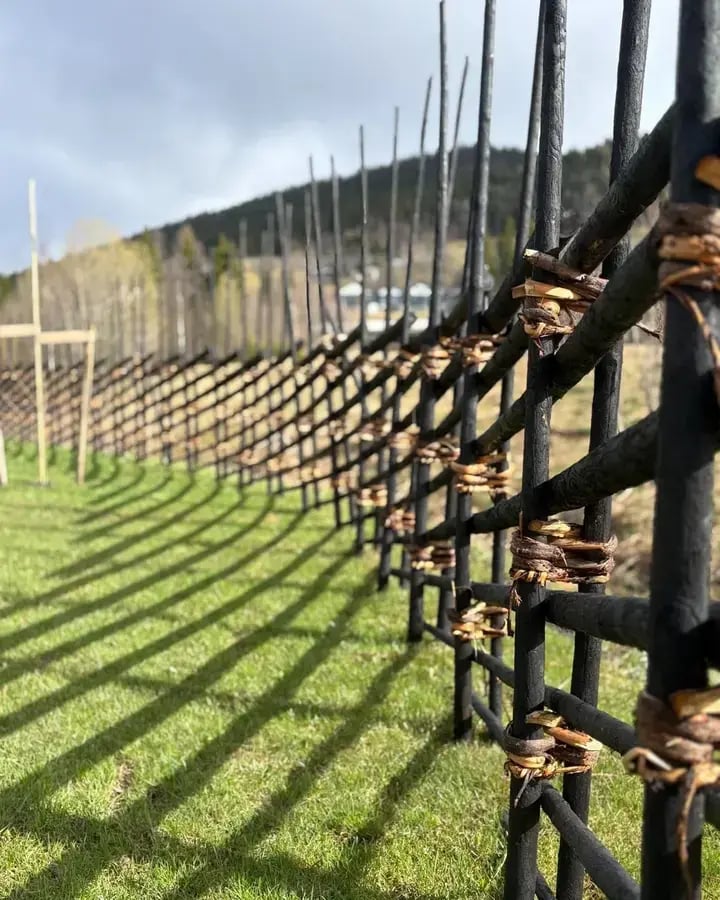 En svarttjärad gärdesgård som slingrar sig längs en grön gräsmatta och kastar långa, tydliga skuggor i solskenet. Staketet är bundet med traditionella vidjeband.
