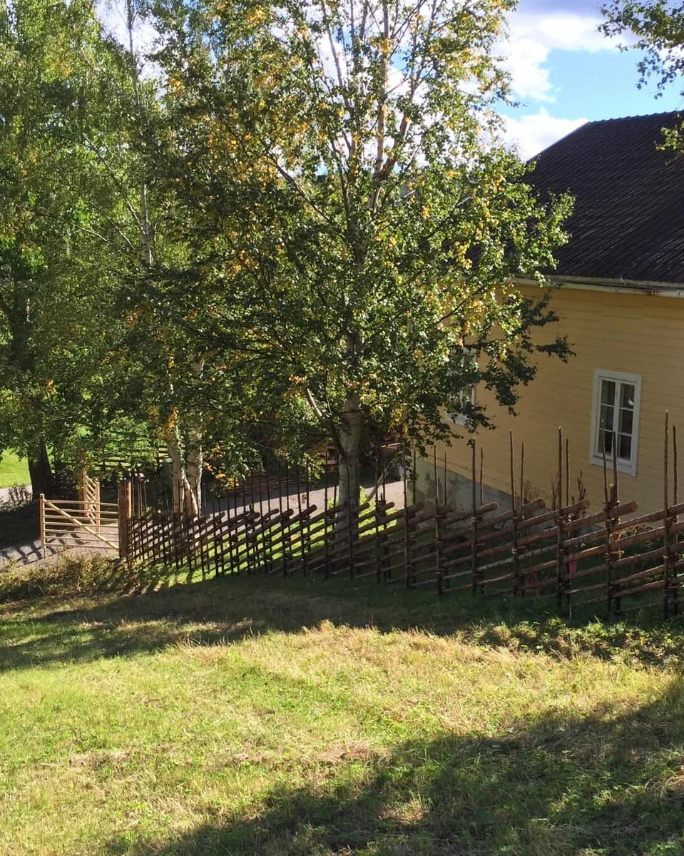 Traditionell gärdesgård med dubbel pinngrind längs ett gulmålat trähus, omgiven av gräsmatta, björkar och lantlig miljö.