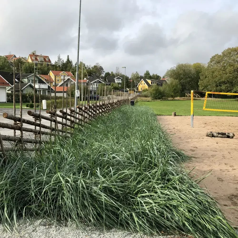 Traditionell gärdesgård intill sandvolleybollplan och grönområde, med bostadshus och träd i bakgrunden.