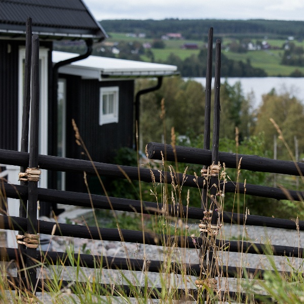 Svart gärdsgård