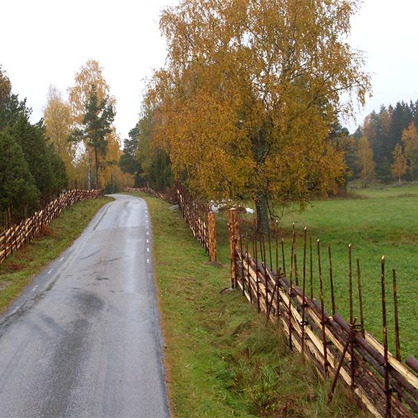 Blandad gärdsgård modell Långgärdsgård