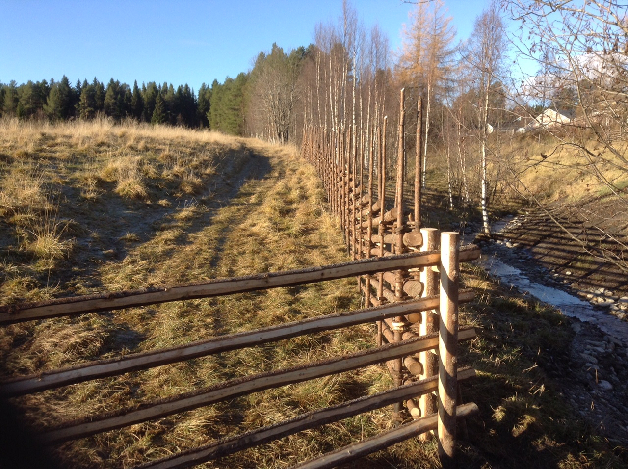 slanoppning-randbarkade-slanor-1